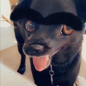 Meet your Posher, Haylee